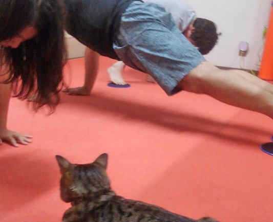 猫見守る体幹トレーニング